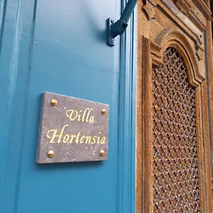 Hortensia Couette-café